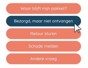 Scherm­afbeelding 2024-03-28 om 13.17.21